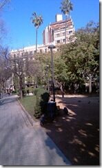 IMAG0213 (2)